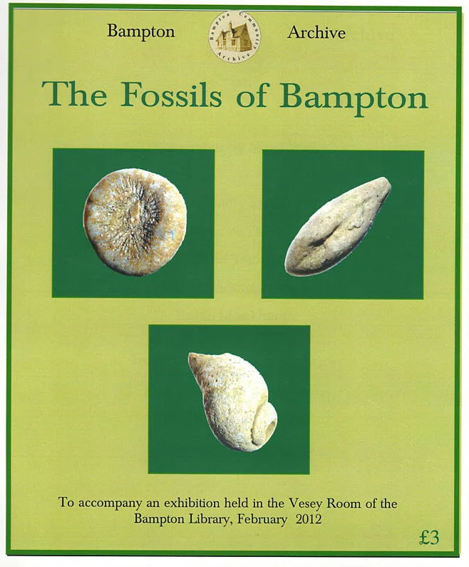 Dug Up in Bampton 3 – The Fossils